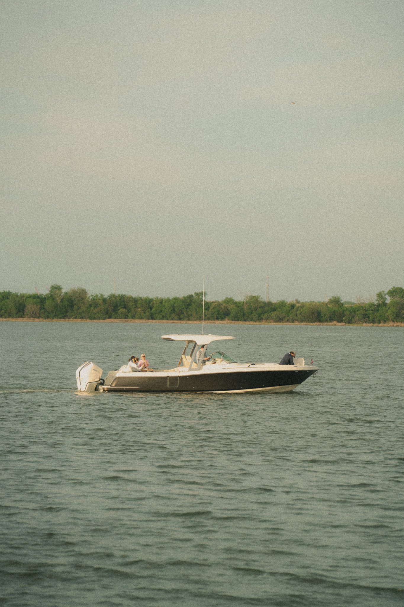 A boat with passengers navigating on a calm body of water, surrounded by greenery in the background.
