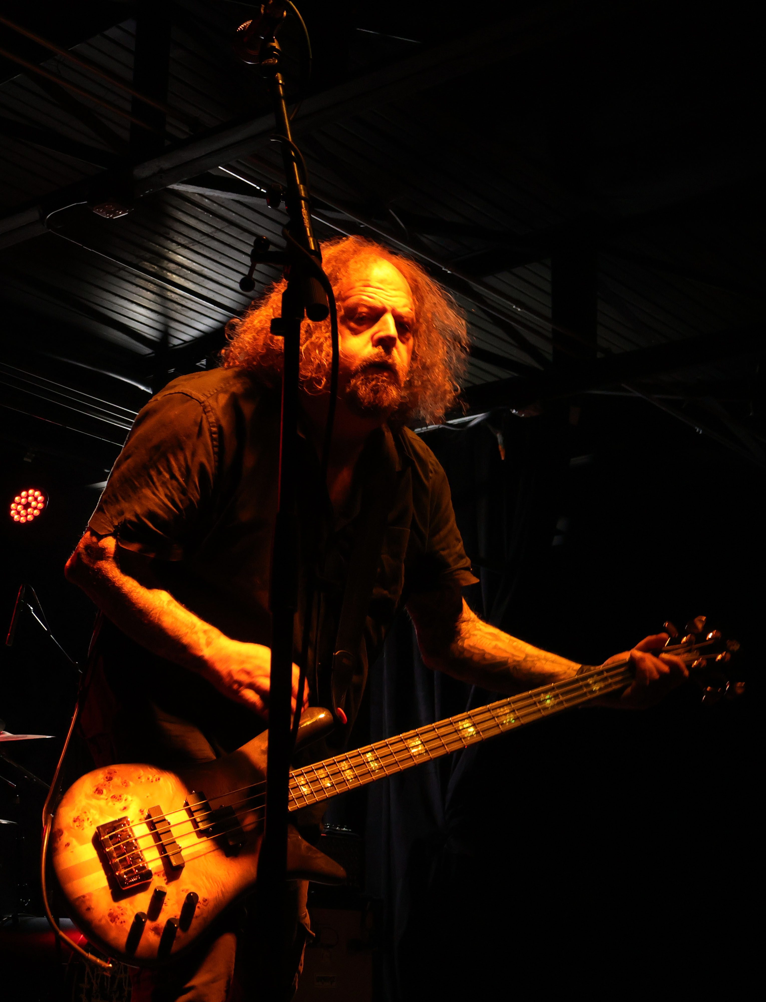 A musician performing on stage with wild curly hair and a focused expression, holding a bass guitar under stage lights.