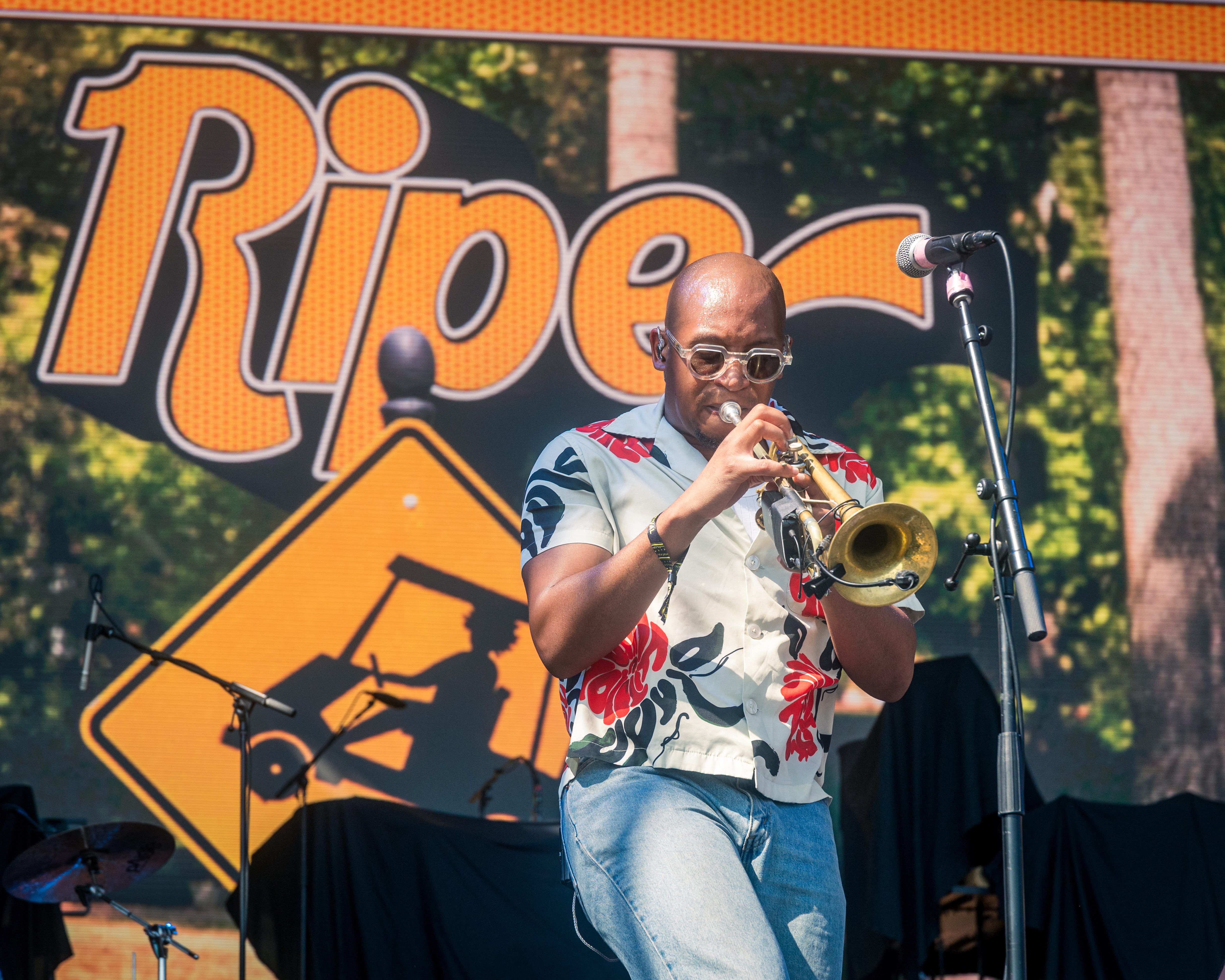 Ripe at Levitate Music Festival