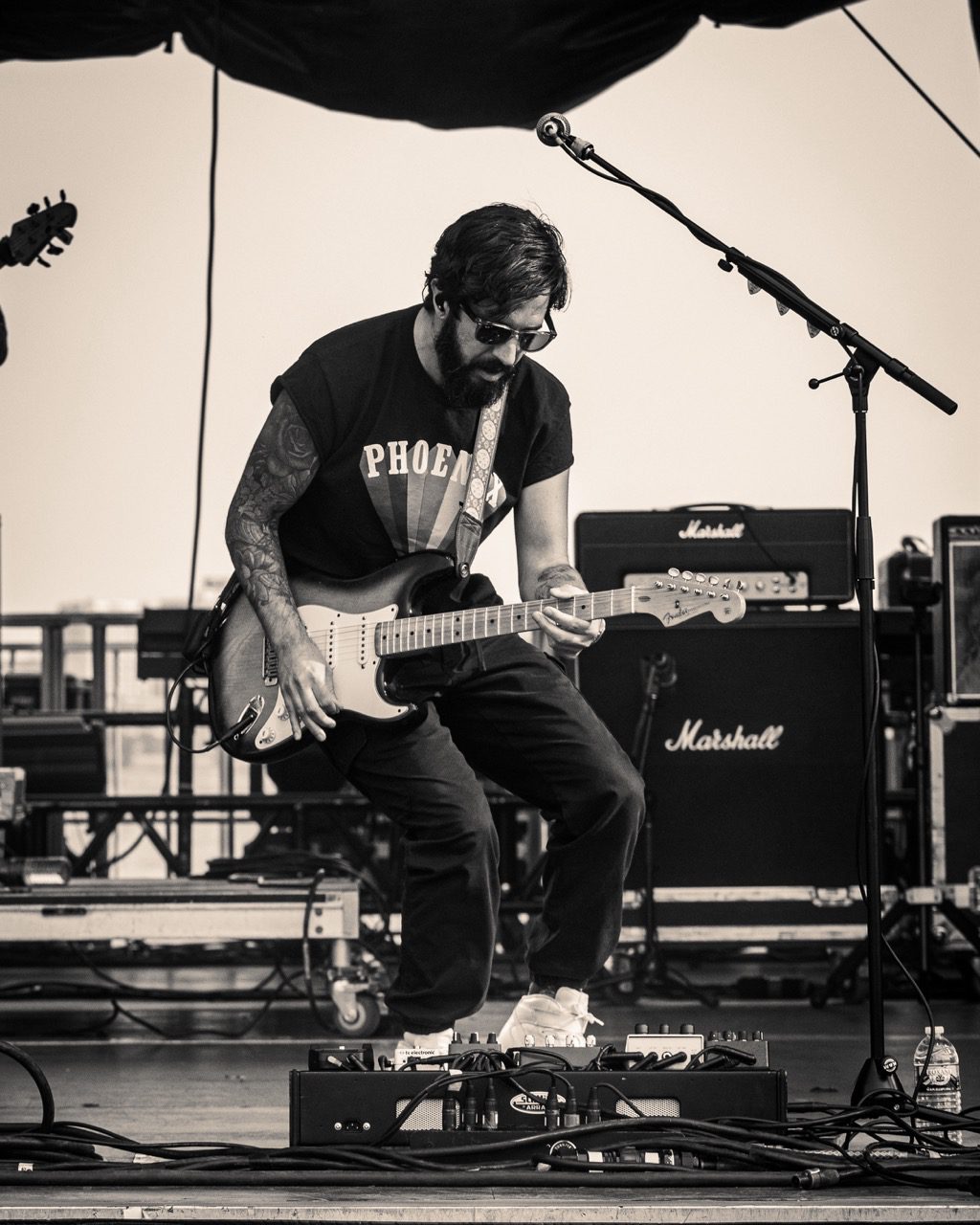 Ripe at Back Cove Music Festival