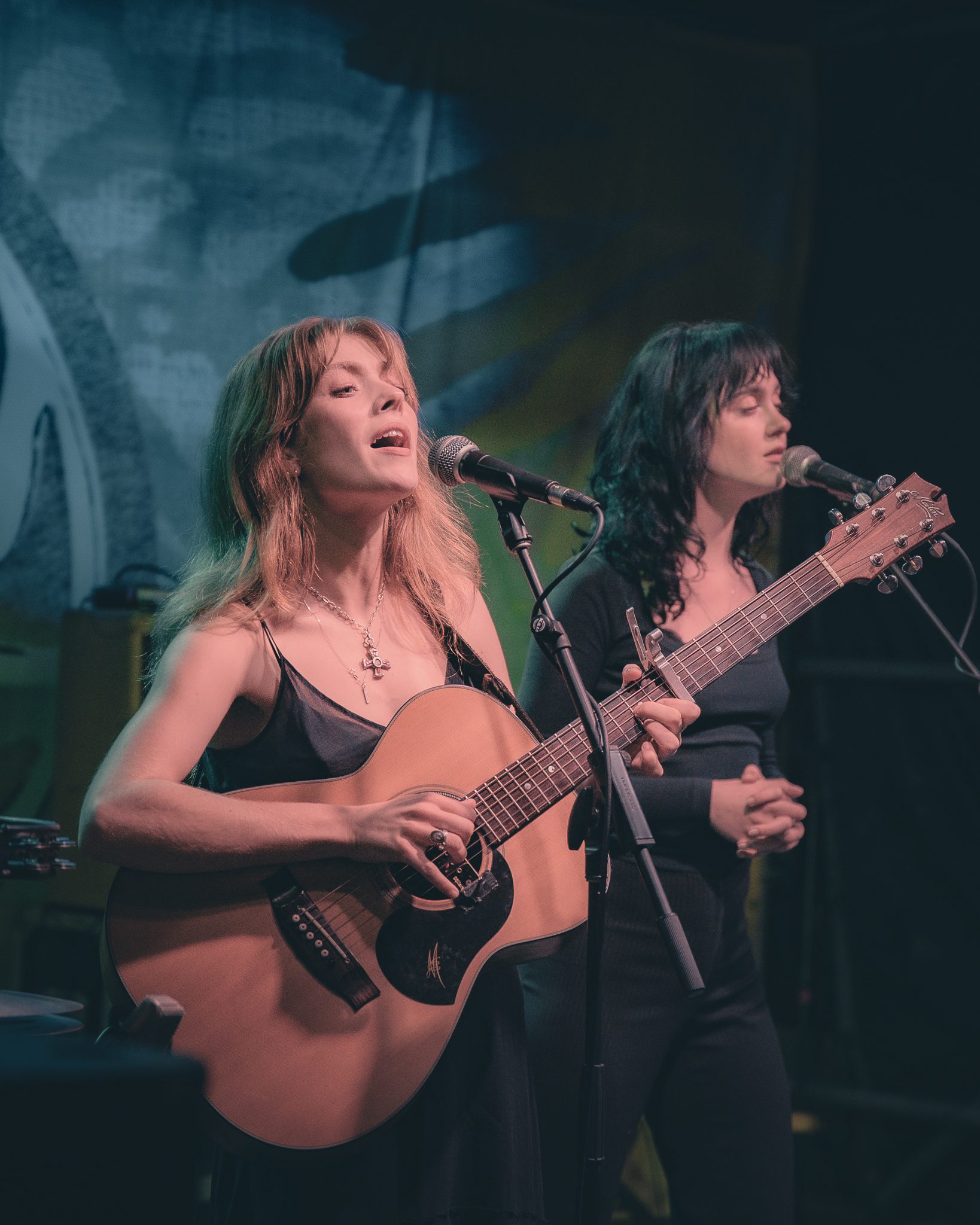 Folk Bitch Trio at Levitate Backyard