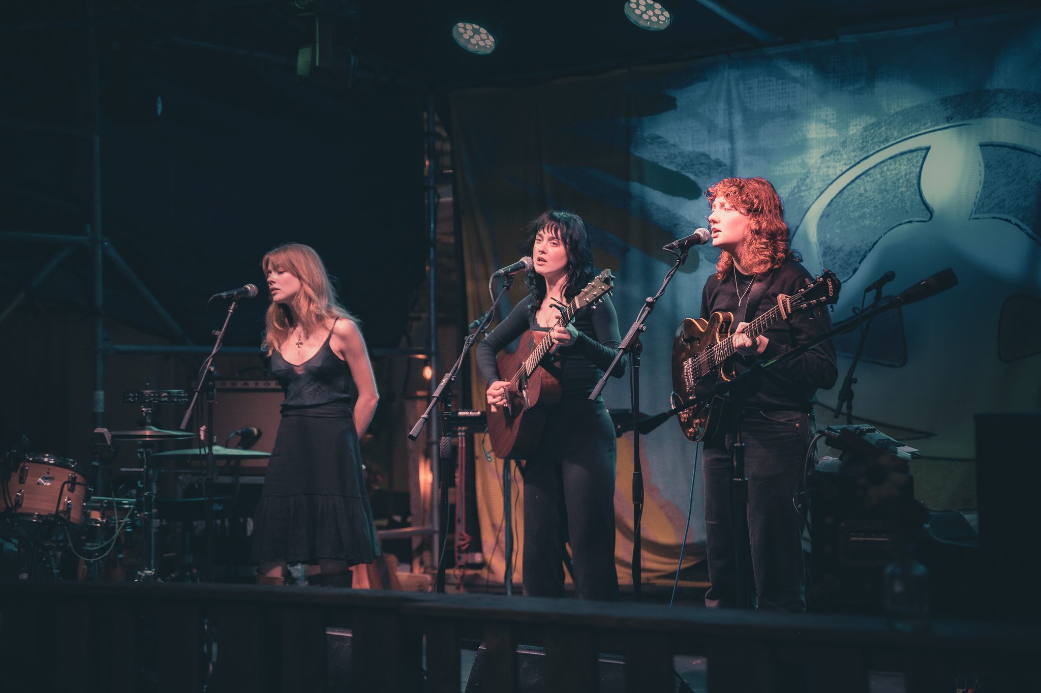 Folk Bitch Trio at Levitate Backyard