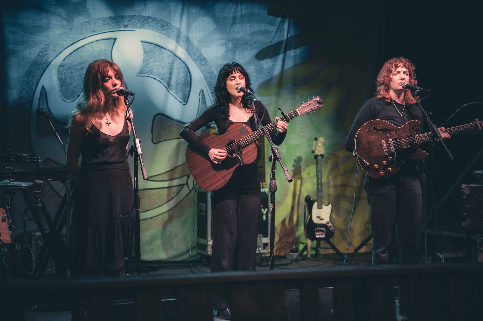 Folk Bitch Trio at Levitate Backyard