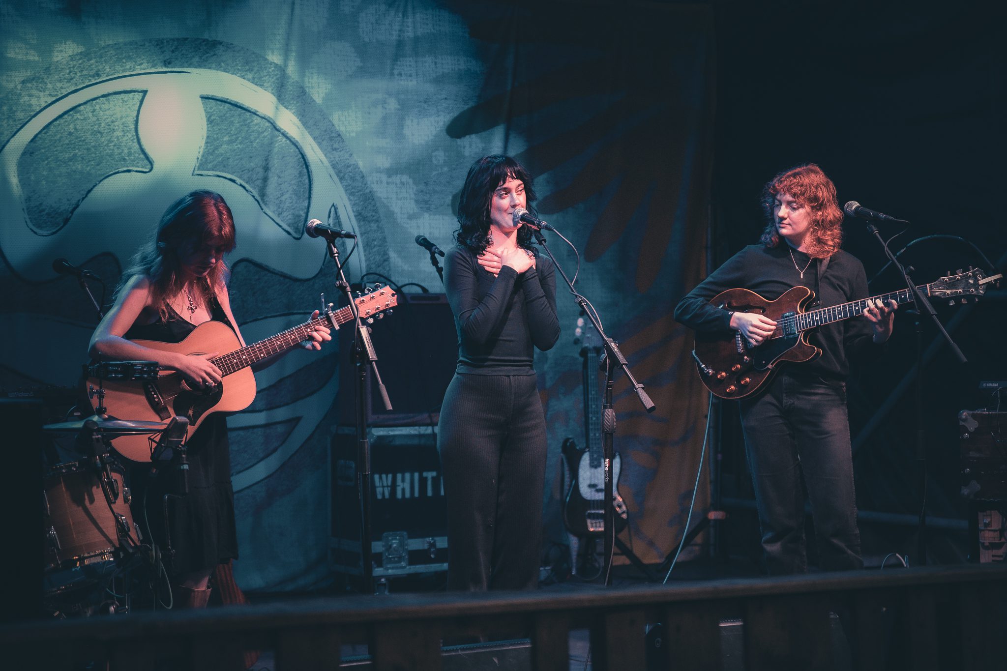 Folk Bitch Trio at Levitate Backyard