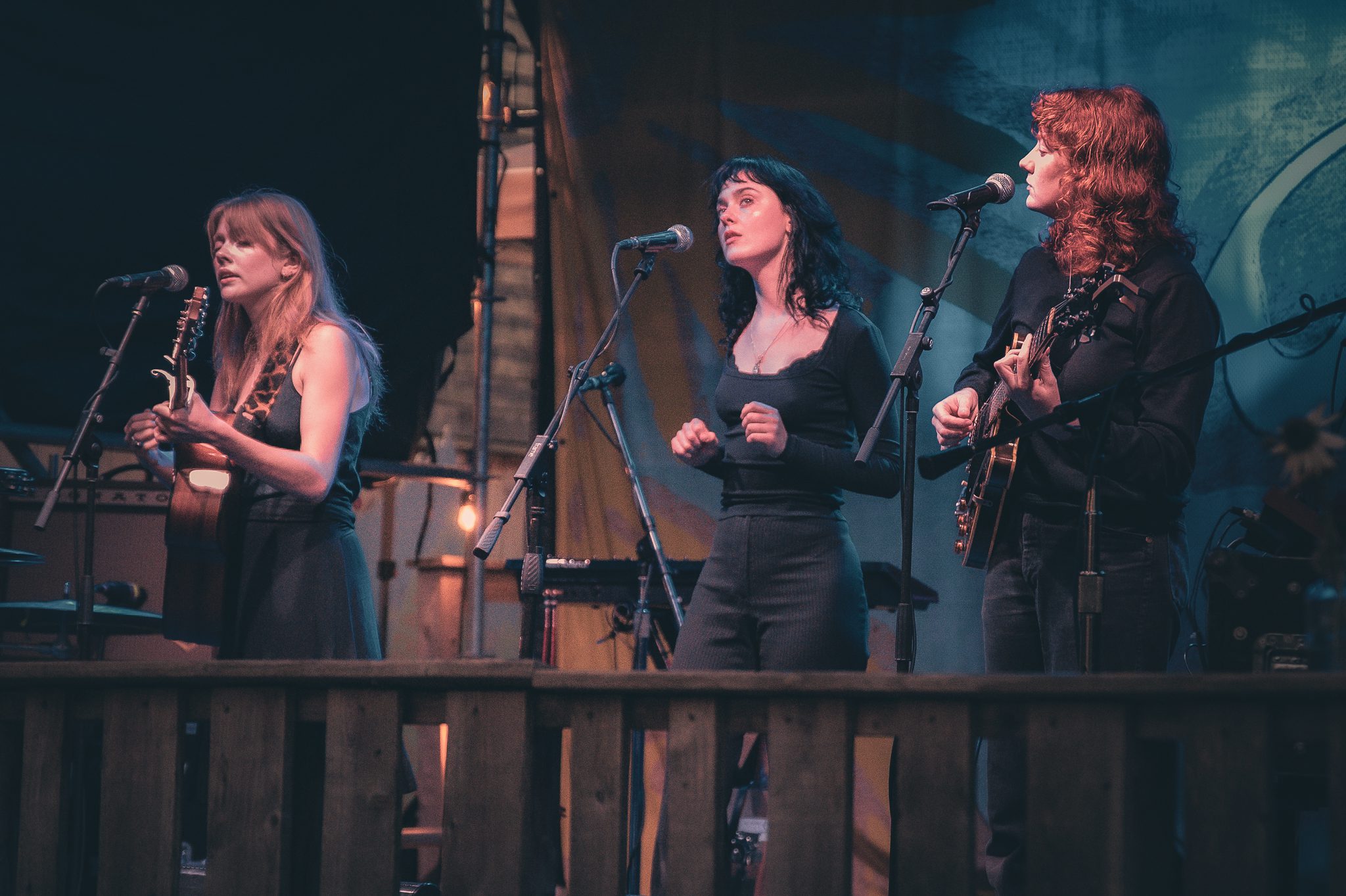 Folk Bitch Trio at Levitate Backyard