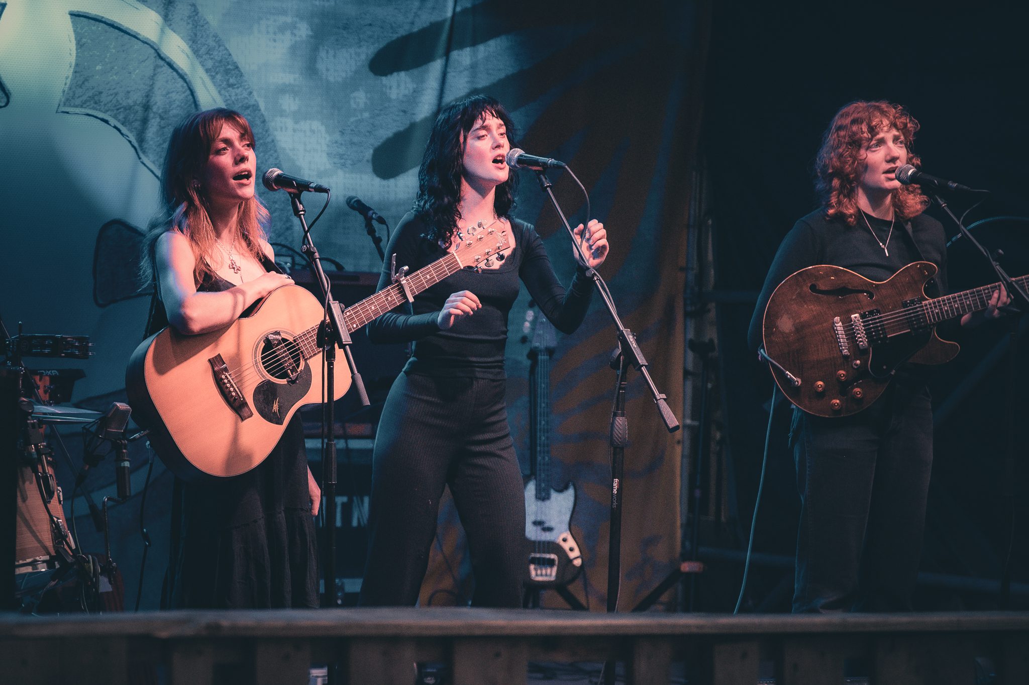 Folk Bitch Trio at Levitate Backyard