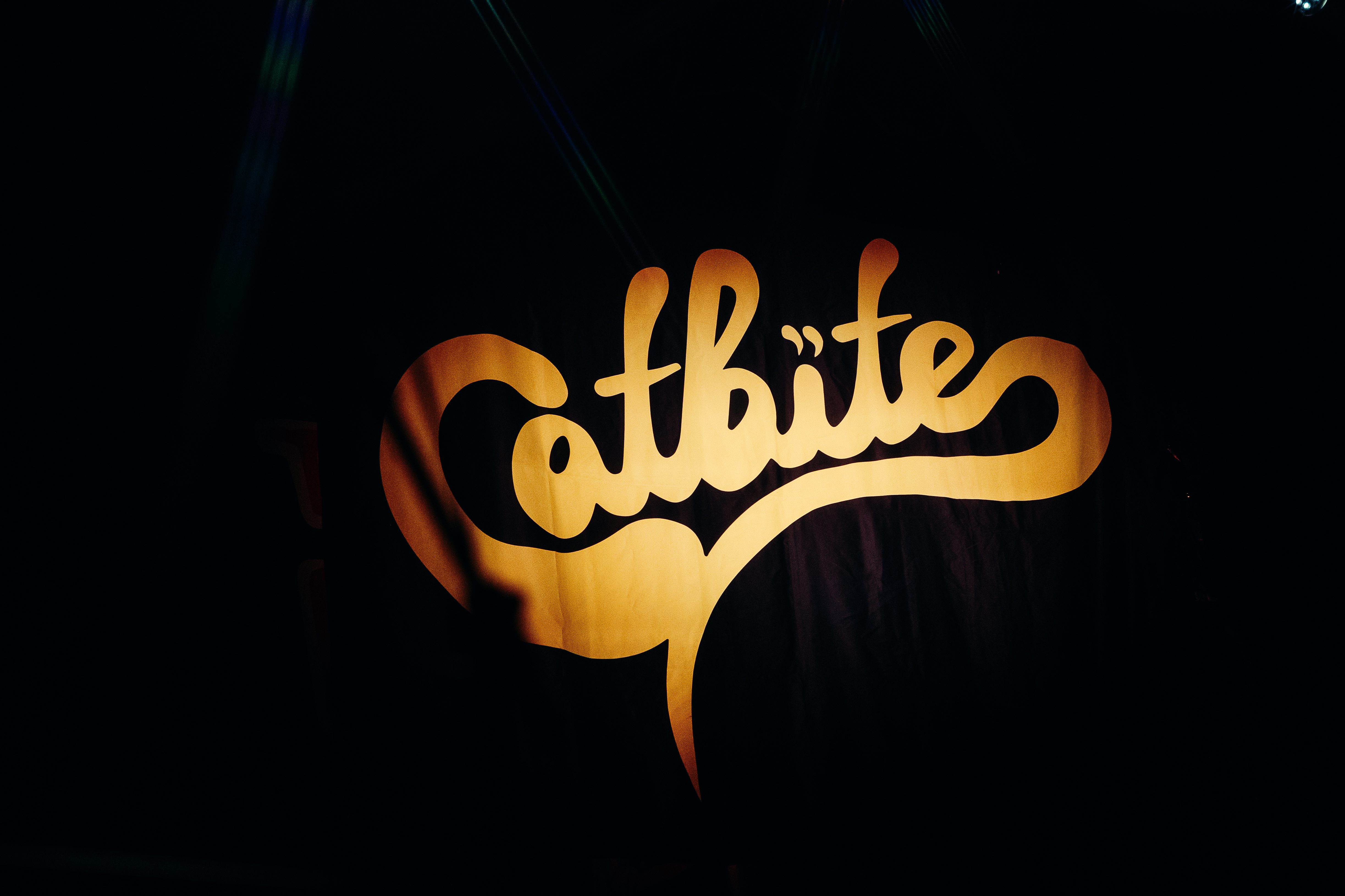 Catbite opening for Less Than Jake in Portland, Oregon