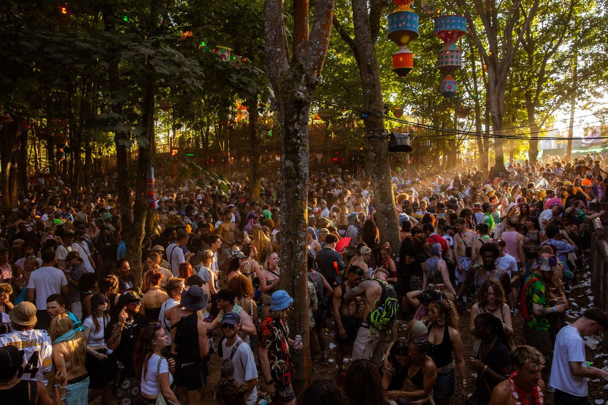 The Zeitgeist Festival guide 2026