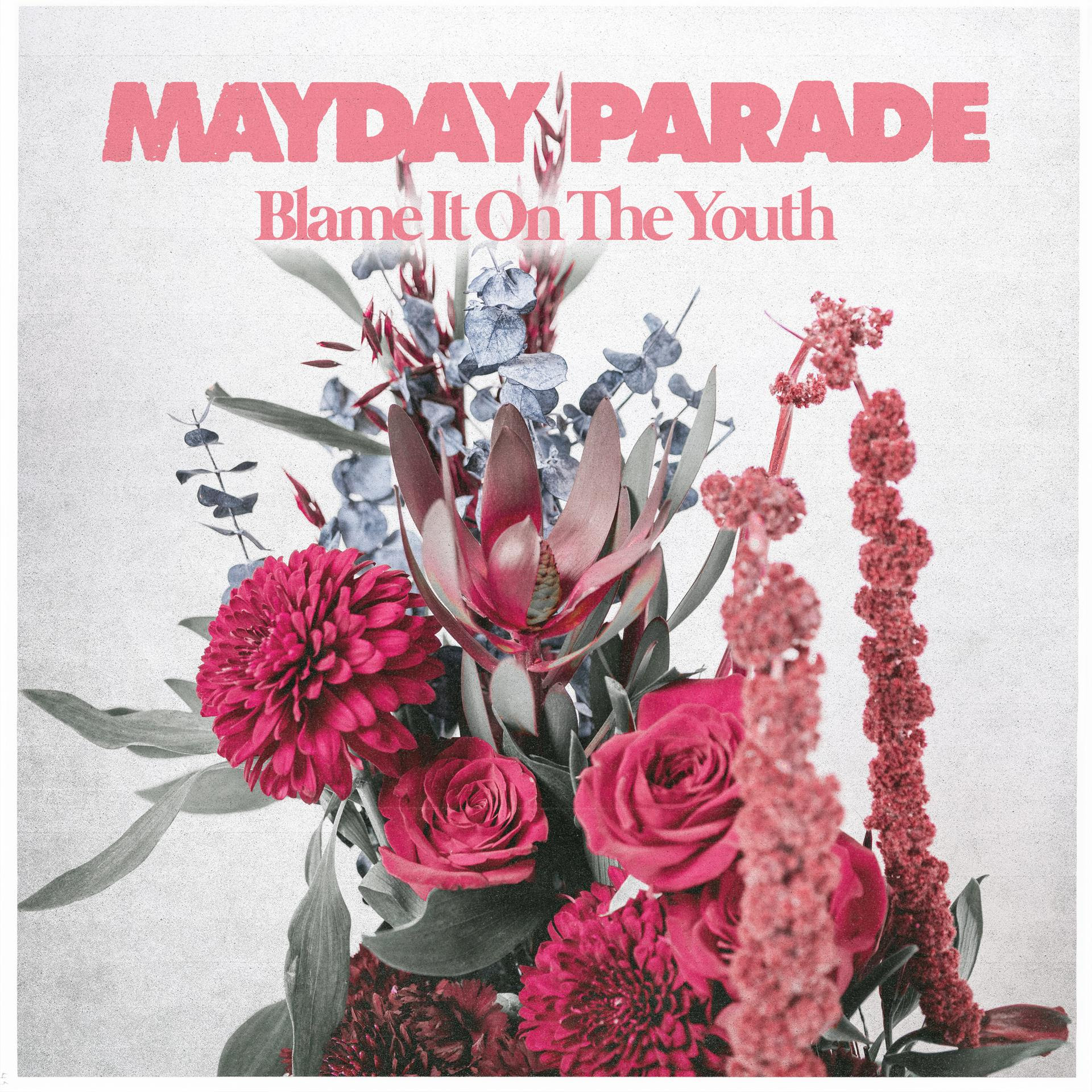 Mayday Parade releases “Blame It On The Youth”