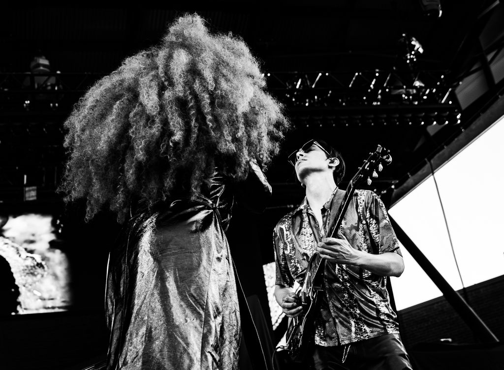 Lion Babe